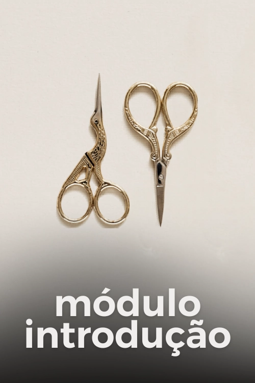 módulo prático